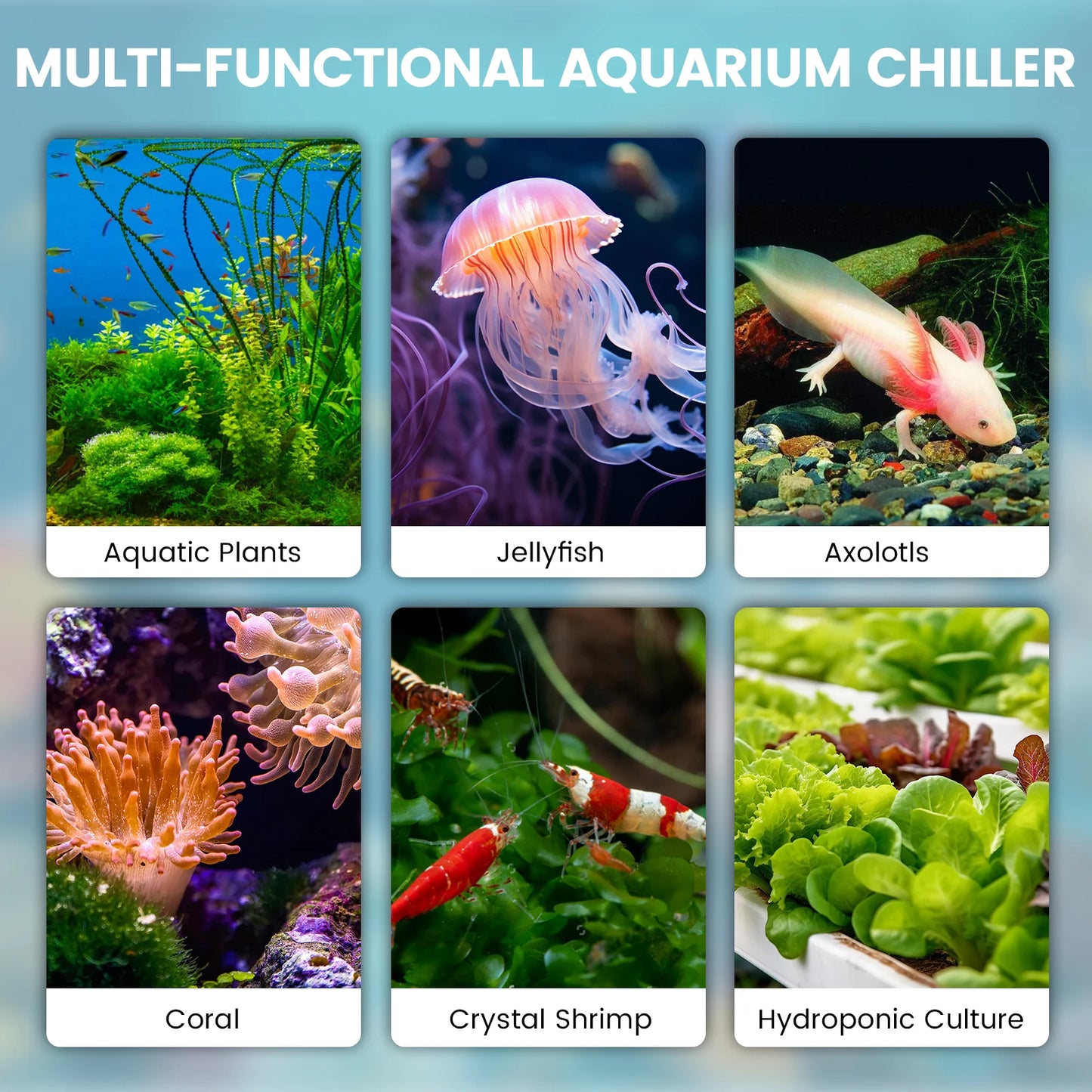 Advanced 1/2 HP chiller for fresh and saltwater setups